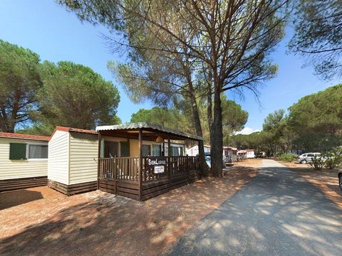 Mobilhome 5 personnes - Redwood