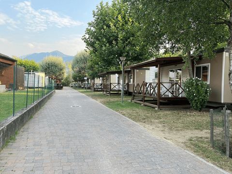 Camping Isolino - Camping Verbano-Cusio-Ossola - Image N°28