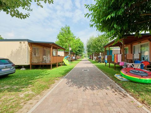 Camping Isolino - Camping Verbano-Cusio-Ossola - Image N°33