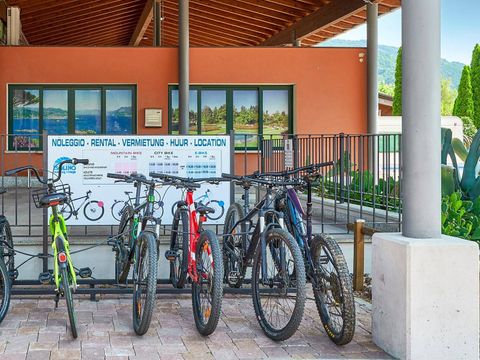 Camping Isolino - Camping Verbano-Cusio-Ossola - Image N°36