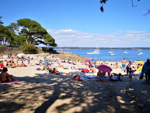 Camping Kerscolper  - Camping Finistère - Image N°40