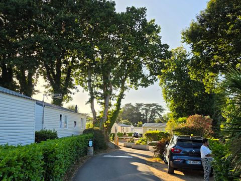 Camping Kerscolper  - Camping Finistère - Image N°24