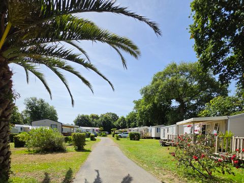 Camping Kerscolper  - Camping Finistère - Image N°10