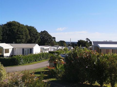 Camping Kerscolper  - Camping Finistère - Image N°39