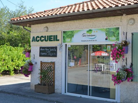 Camping Les Catalpas - Camping Lot-et-Garonne - Image N°10