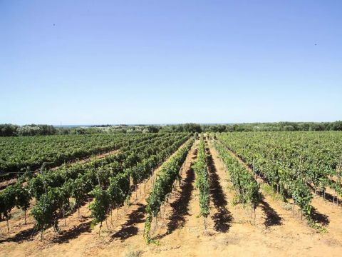 Camping La Masseria - Camping Lecce - Image N°41