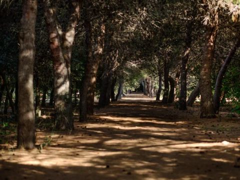 Camping La Masseria - Camping Lecce - Image N°73