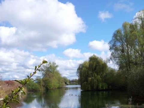 Camping Les Marguerites - Camping Somme - Image N°53
