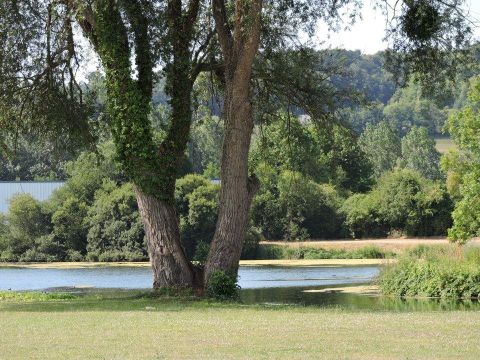 Camping Les Marguerites - Camping Somme - Image N°63