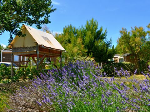 TENTE TOILE ET BOIS 2 personnes - Bivouac sous les étoiles