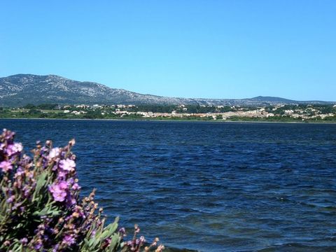 Camping Domaine de la Palme - Camping Aude - Image N°16