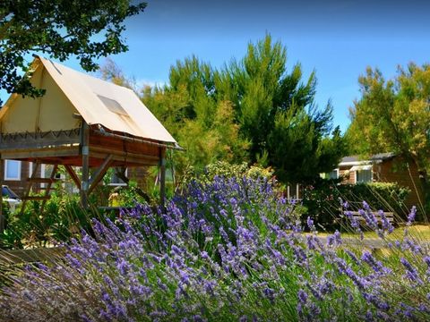 Camping Domaine de la Palme - Camping Aude - Image N°11