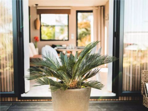 MOBILHOME 4 personnes - Côté Jardin 3 Pièces 4 Personnes + TV