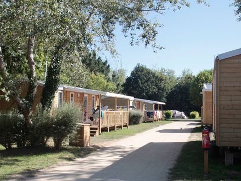 FLOWER Camping le Vorlen - Camping Finistère - Image N°12