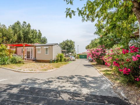 Camping Les Acacias  - Camping Var - Image N°13