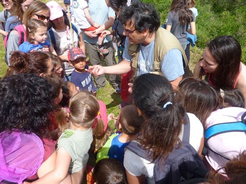Camping Bassegoda Park - Camping Gérone - Image N°10