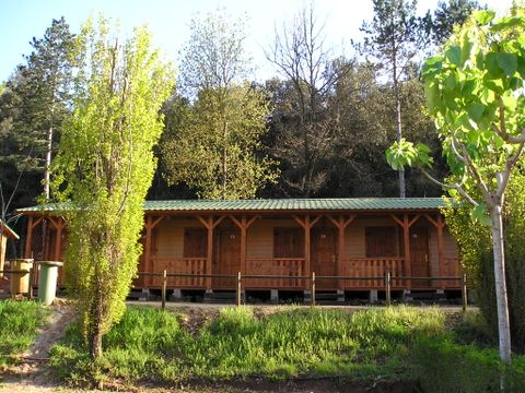 Chambre 2 personnes - Chambre twin avec salle de bain privée
