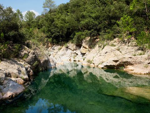 Camping Bassegoda Park - Camping Gérone - Image N°44