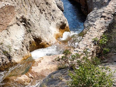 Camping Bassegoda Park - Camping Gérone - Image N°31