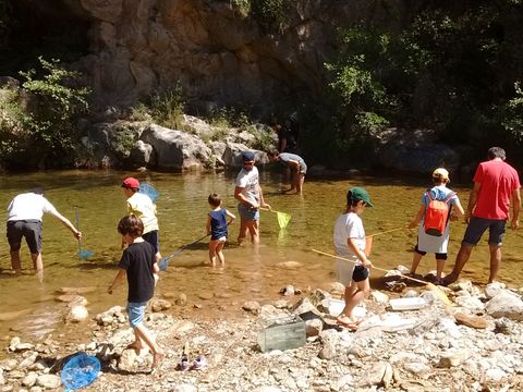 Camping Bassegoda Park - Camping Gérone - Image N°14