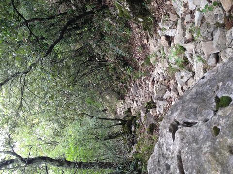Camping Bassegoda Park - Camping Gérone - Image N°43