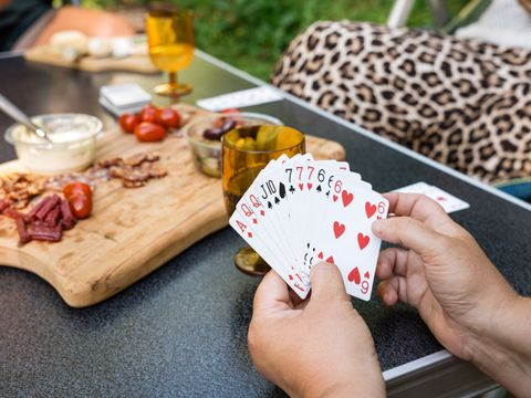 Flower Camping La Steniole - Camping Vosges - Image N°22