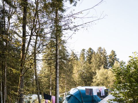 Flower Camping La Steniole - Camping Vosges - Image N°24