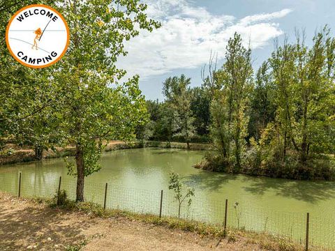 Camping Des Etangs - Camping Tarn-et-Garonne - Image N°33