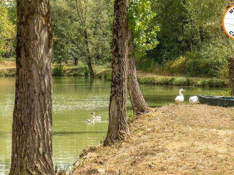 Camping Des Etangs - Camping Tarn-et-Garonne - Image N°29