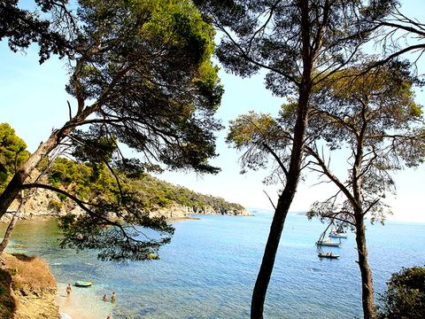 Camping L'Ile d'Or - Camping Var - Image N°17