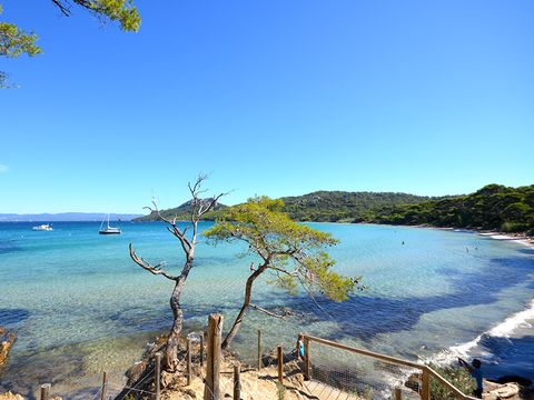 Camping L'Ile d'Or - Camping Var - Image N°2