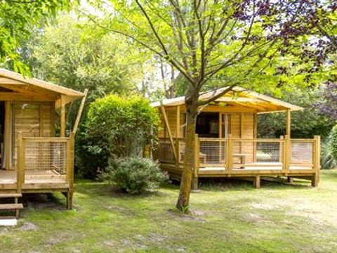 Bungalow 4 personnes - Ecolodge - 2 chambres - 32 m² - TV - CLIM