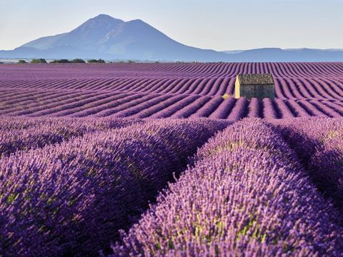 Camping Verdon Parc  - Camping Alpes-de-Haute-Provence - Image N°17