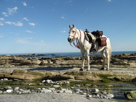 Village de Chalets Auguste Delaune - Camping Pyrénées-Atlantiques - Image N°31