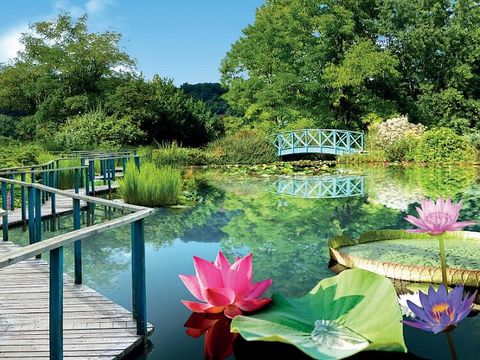 Camping Lac de Groléjac - Camping Dordogne - Image N°71