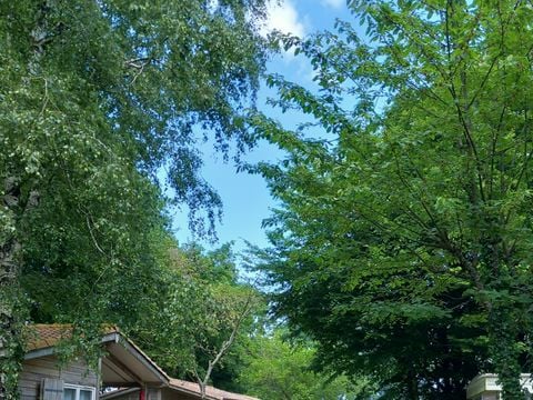 CHALET 5 personnes - OTTAWA