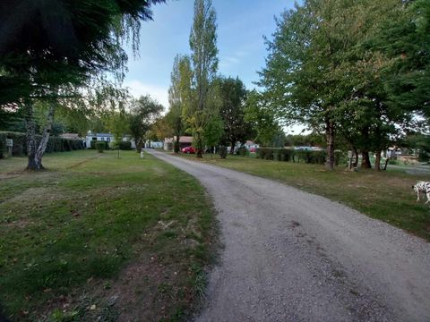Emplacement - Forfait emplacement B (voiture + tente ou caravane) + electricité