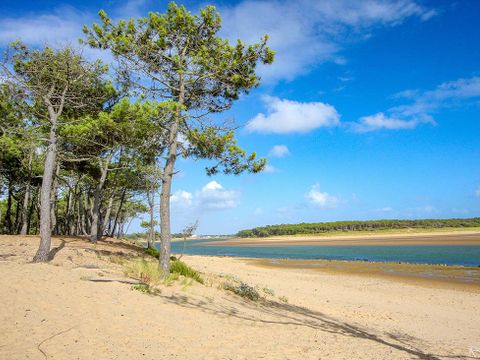 Camping Là, Com'Union - Camping Vendée - Image N°20