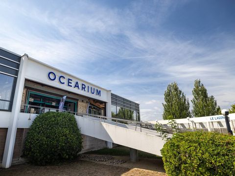 Camping Domaine de Bréhadour   - Camping Loire-Atlantique - Image N°5