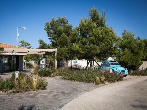 Camping Ile aux Oiseaux - Camping Vendée - Image N°15