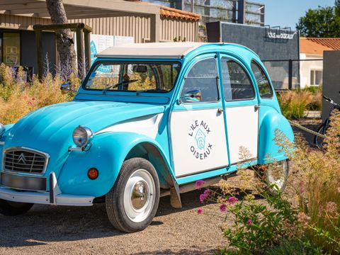 Camping Ile aux Oiseaux - Camping Vendée - Image N°6