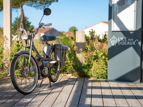 Camping Ile aux Oiseaux - Camping Vendée - Image N°3
