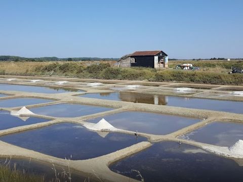 Camping Ile aux Oiseaux - Camping Vendée - Image N°16