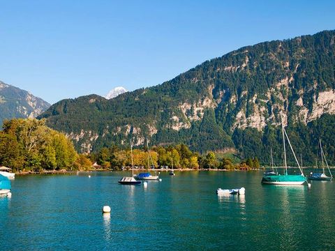 Camping Manor Farm - Camping Oberland Bernois - Image N°2