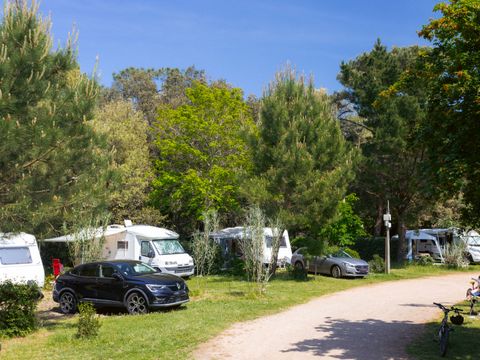Camping maeva Respire Parfums d'été  - Camping Vendée - Image N°26