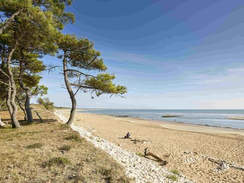 Camping maeva Respire Parfums d'été  - Camping Vendée - Image N°47