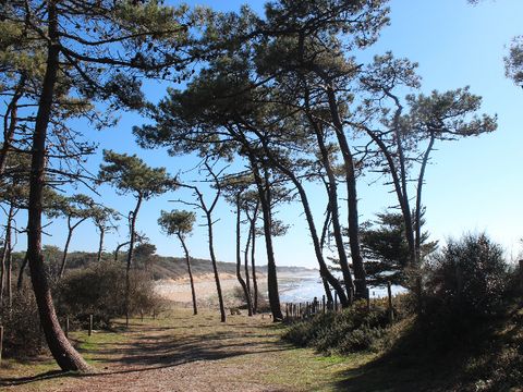 Camping maeva Respire Parfums d'été  - Camping Vendée - Image N°83
