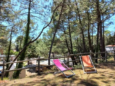 Camping maeva Respire Parfums d'été  - Camping Vendée - Image N°62