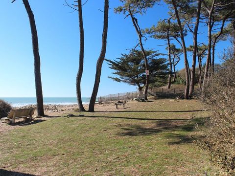 Camping maeva Respire Parfums d'été  - Camping Vendée - Image N°51