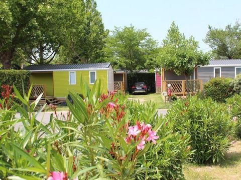 MOBILHOME 4 personnes - Romarin